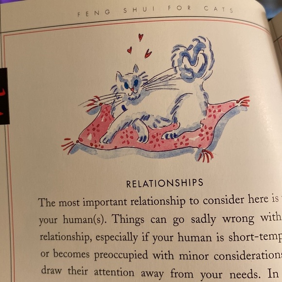 FENG SHUI FOR CATS by RONI JAY - Novelty Book GUC - Picture 6 of 9